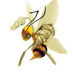 Seaneleth's Avatar