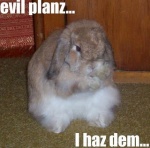 Isley's Avatar